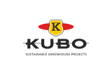 Kubo