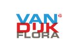 Van Dijk Flora 1